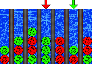 Connect 4